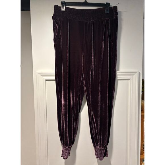 Time and Tru Velvet Jogger Pants - Picture 1 of 5